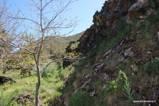 nte Egitto-29-04-2023 09-20-49